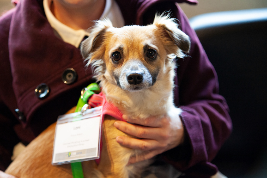 Projekt_20241122_0015